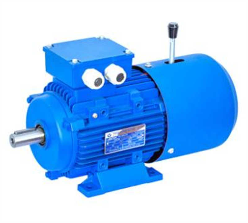 High Efficiency Three Phase Asynchronous Induction Motor