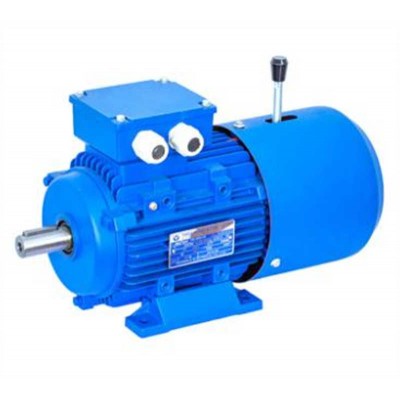 6kv/10kv High Voltage Explosion Proof Industrial Electric Asynchronous Motor