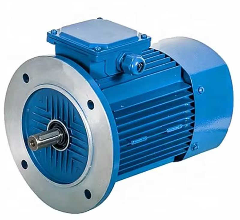 Three Phase Cast Iron Frequency Variable Speed Axial Fan Water Pump Motor
