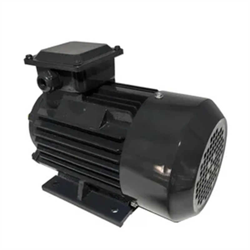 D1CS Series Smoke Exhaust High-Temperature Resistant 3-Phase Electric Motor