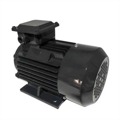 D1CS Series Smoke Exhaust High-Temperature Resistant 3-Phase Electric Motor