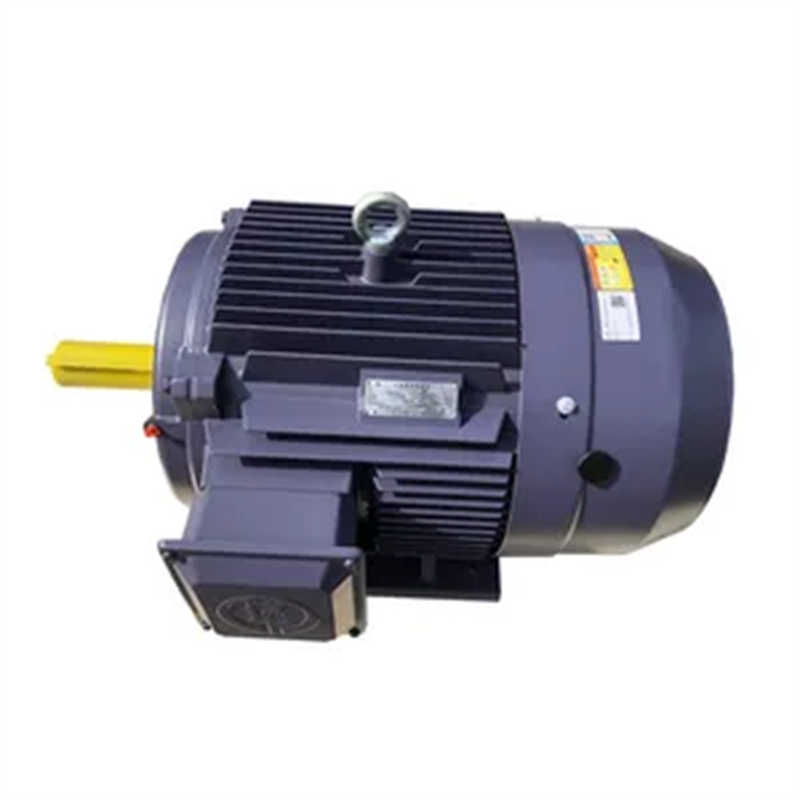 D1CS Series Smoke Exhaust High-Temperature Resistant 3-Phase Electric Motor
