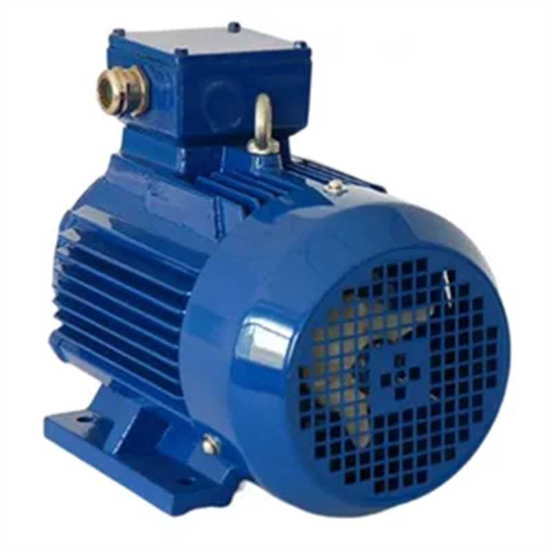 D1TP Variable Voltage Frequency 3-Phase Asynchronous Motors