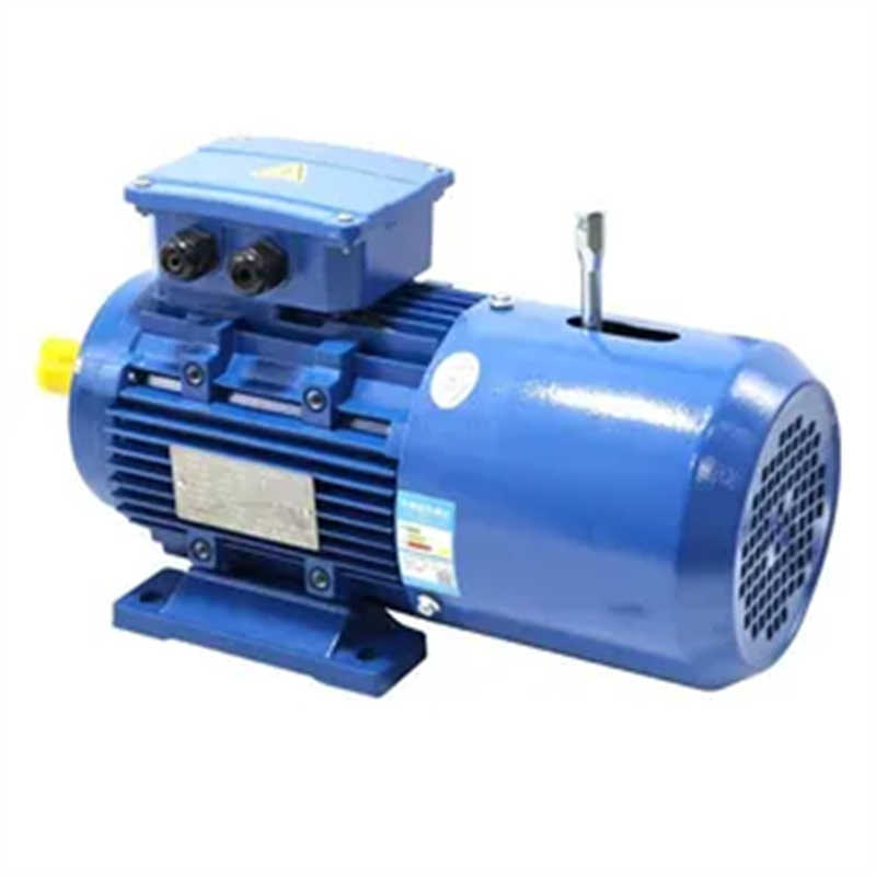 YE3, YE4 High Efficiency High Efficiency 3-Phase Asynchronous Electric Motor