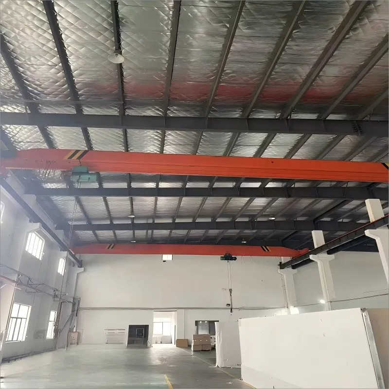 20 Ton Heavy-Duty Single Girder Crane – Designed for Metallurgical Industry
