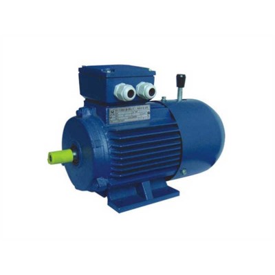 YE3 Cast Iron Electric Motors