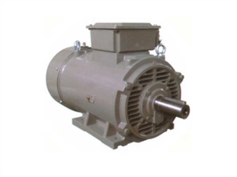 Y2EJ Brake Motor Y2EJ Series Three Phase Cast Iron Brake Motors