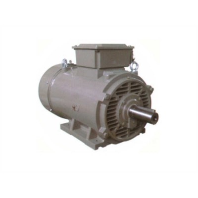 Y2EJ Brake Motor Y2EJ Series Three Phase Cast Iron Brake Motors