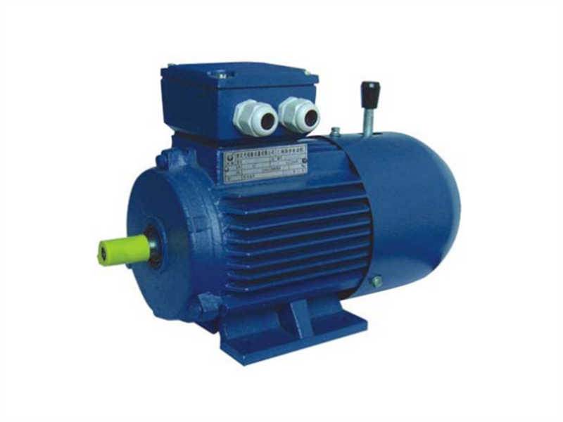 YR3 Winding Rotor Motor YR3 SERIES SLIP-RING ELECTRIC MOTORS
