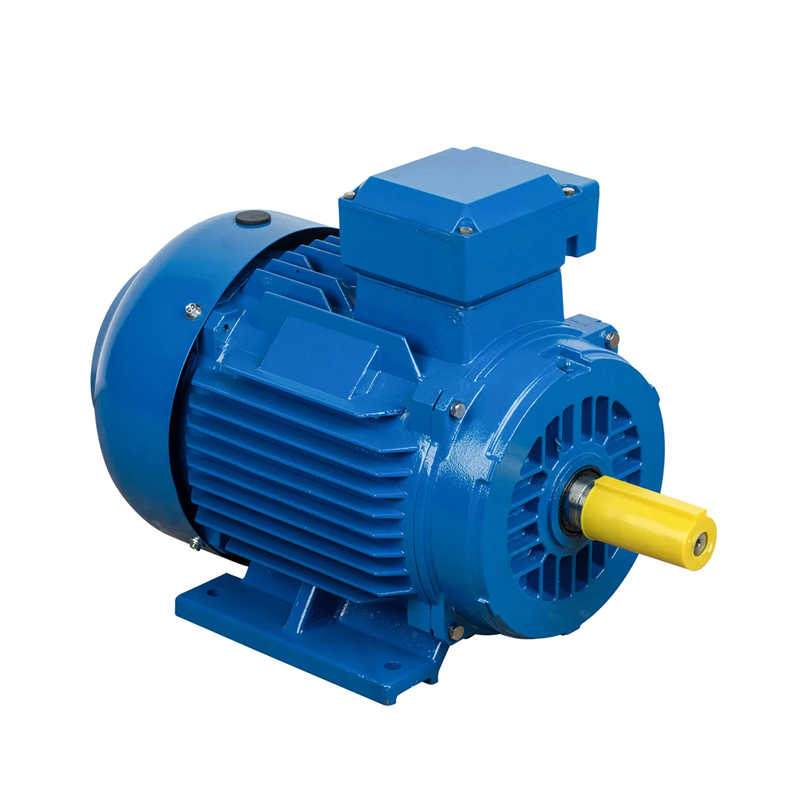 Y2 Compact Type High-Voltage Three-Phase Induction Motor(H355-630mm)