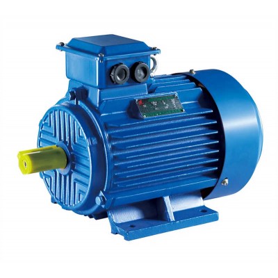 Premium Energy Cast-iron Three-Phase Asynchronous Induction Motor