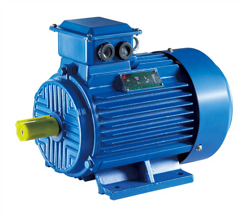 Y2 Series Low-Voltage Three-Phase Squirrel-Cage Induction Motor H63-450mm