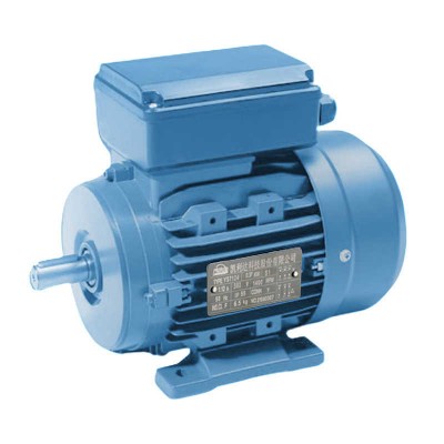 Ie2/Ie3 High Temperature Resistance Long Shaft Motor Small Electric Motors