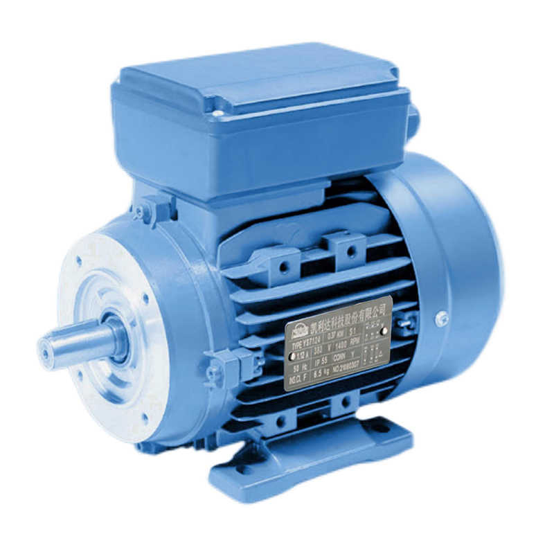 0.25kw Three Phase Asynchronous Motor Small Electric Motors for Crane Hoist