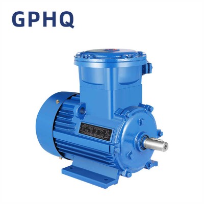 Gphq 2.2kw 1phase Squirrel Cage AC Asynchronous Induction Electric Motor