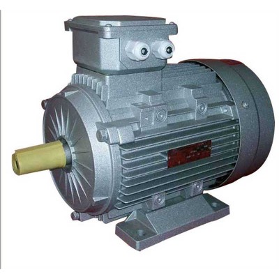 MS Alu Housing Three-Phase Induction Motor