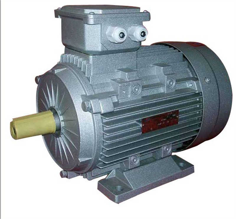 MS Alu Housing Three-Phase Induction Motor