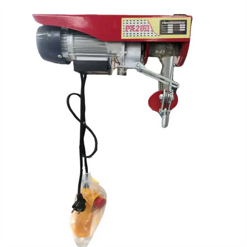 500kg PA800 PA1000 PA200 Mini Small Electric Wire Rope Hoist 220V 1p