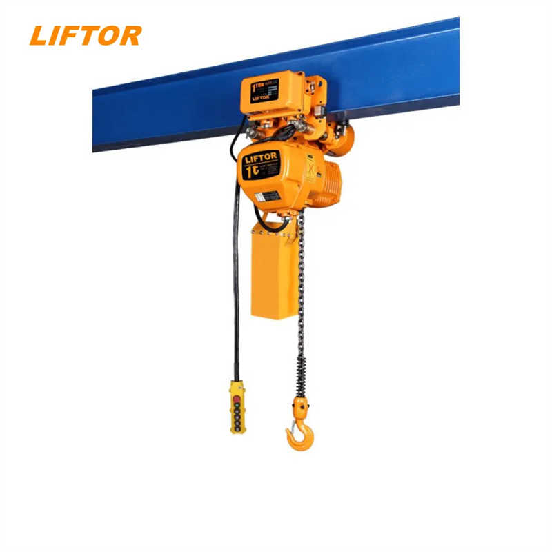 1 Ton 0.5 Ton 380V 220V 60Hz 6m Crane Lifting Machine Electric Chain Hoist