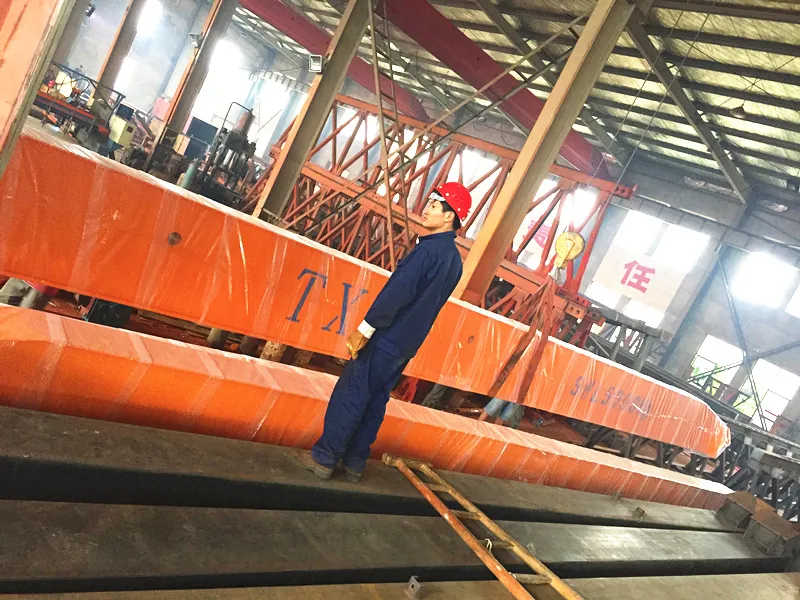 Industrial Grade LD-T1 Electric Hoist Crane | 1-20 Ton Lifting Solution