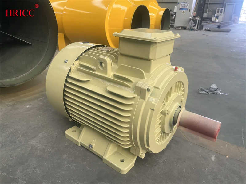 DC Electric Motor for Manufacturing Plant Restaurant and Hotel Industries