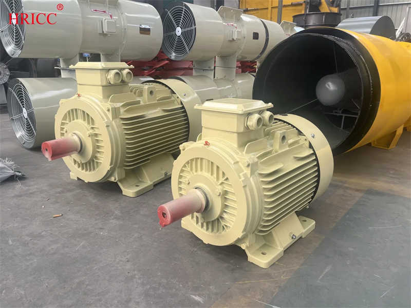 DC Electric Motor for Manufacturing Plant Restaurant and Hotel Industries