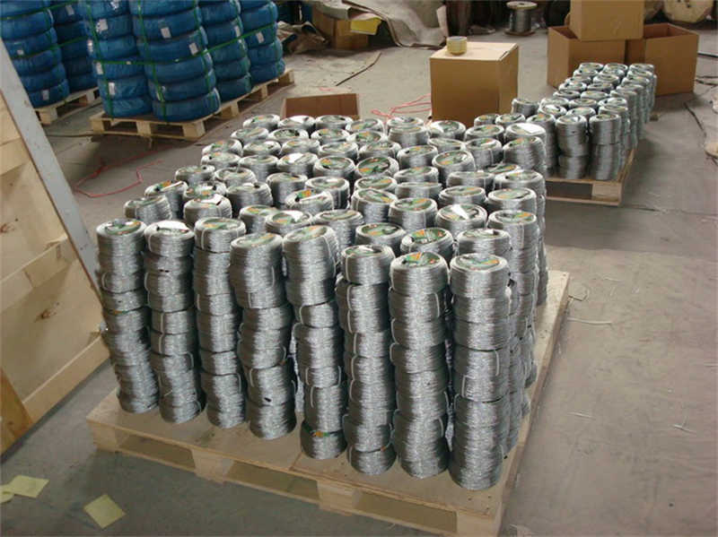 Galvanized Steel Wire Lifting Rope 6X19 for Cranes