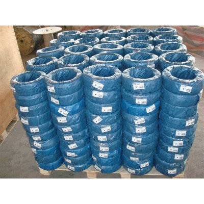 Galvanized Steel Wire Rope 6*19s+Iwrc 6*36sw+Iwrc for Hoist Crane