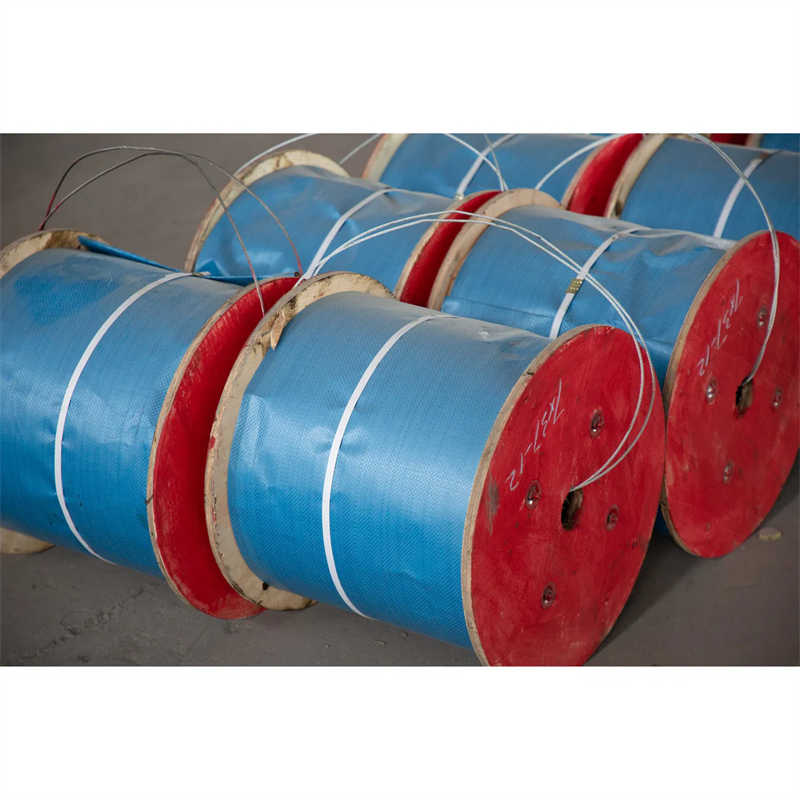 6*19+FC 6mm Electric Galvanized Steel Wire Rope for Tower Crane