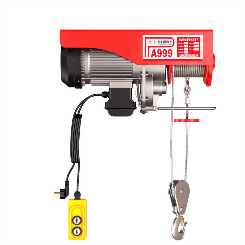 Construction Hoist 500 Kg 1000 Kg PA Type Mini Electric Hoist