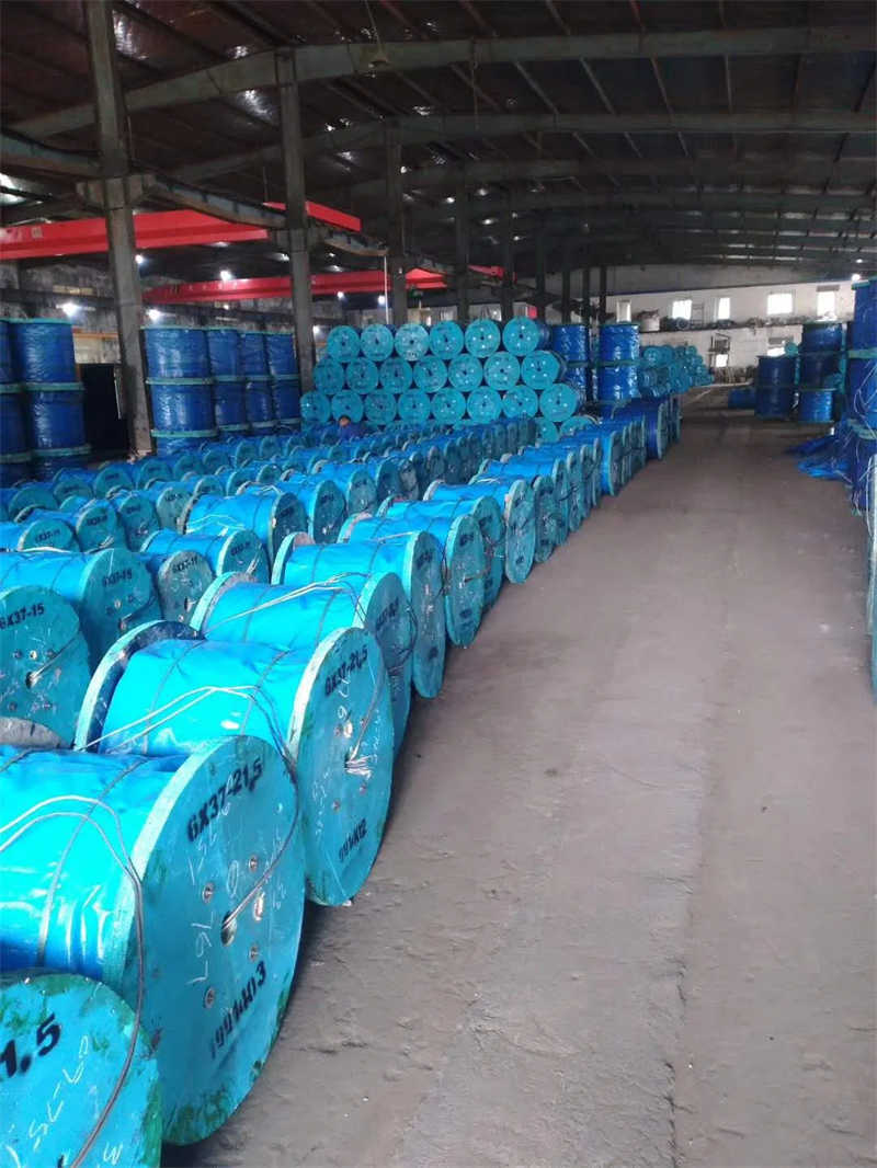 High Tension 0.5mm 0.6 mm 5mm 16mm Steel Wire Rope Price