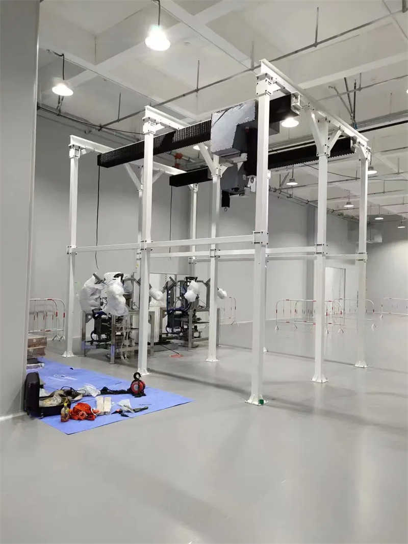 250kg Clean Style Overhead Crane with Electric Hoist for Clean Environment