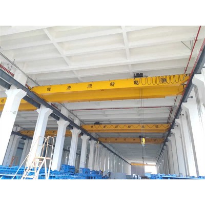 CWD Series Double Girder Overhead Crane, Custom Lift Height, Global Export