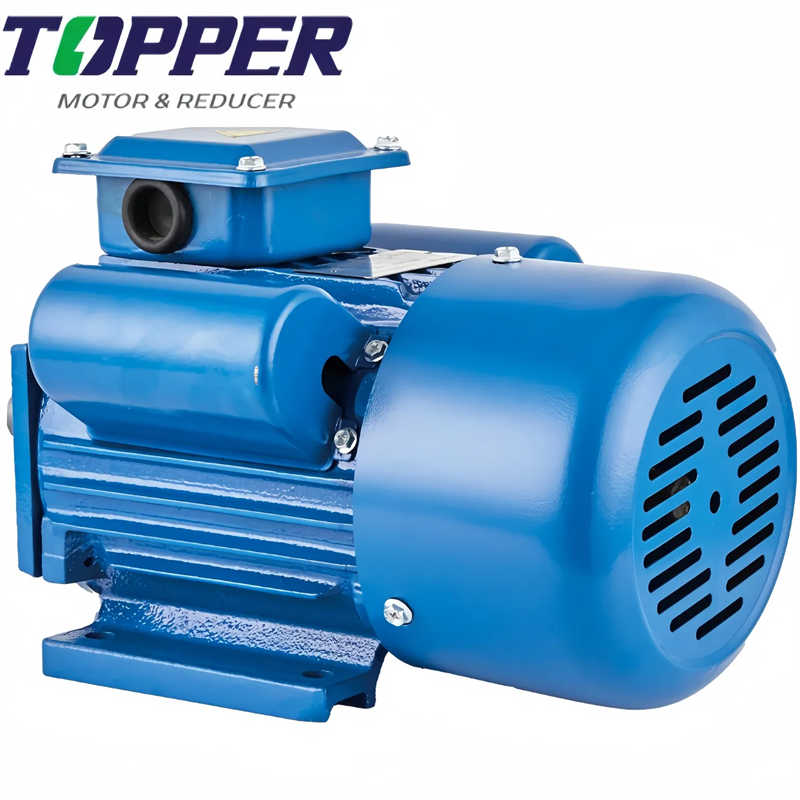 Dongye Made High Quality Yc Series Single-Phase Induction Motor