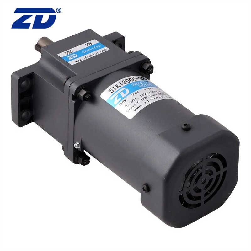 ZD Single Phase High Efficient 110V/220V Electric Induction AC Gear Motor