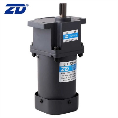ZD 110V/220V 6W 10W Electric Induction AC Gear Motor