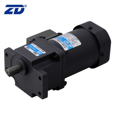 ZD 110V/220V 15W Electric Induction AC Gear Motor