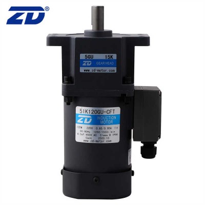 ZD 110V/220V 25W Electric Induction AC Gear Motor