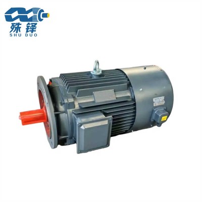 Versatile Electric Motor for 220/380/660 Voltage with Aluminum Housing