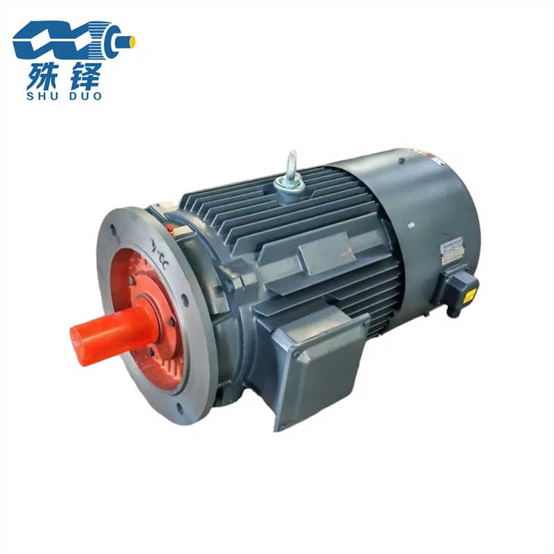 Efficient Electric Motor with Cast Iron Housing and High-Performance Design