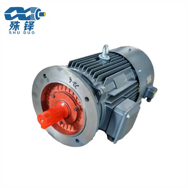 Heavy-Duty Electric Motor with Aluminum Housing for Reliable Performance