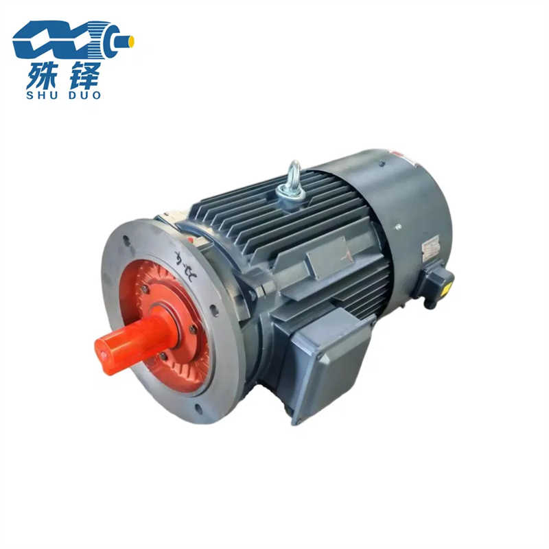 Electric Motor with Robust Cast Iron Housing and Premium Copper Winding