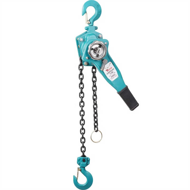 VITAL VT Lever Hoist 3 Ton for Equipment Repair, to Singapore