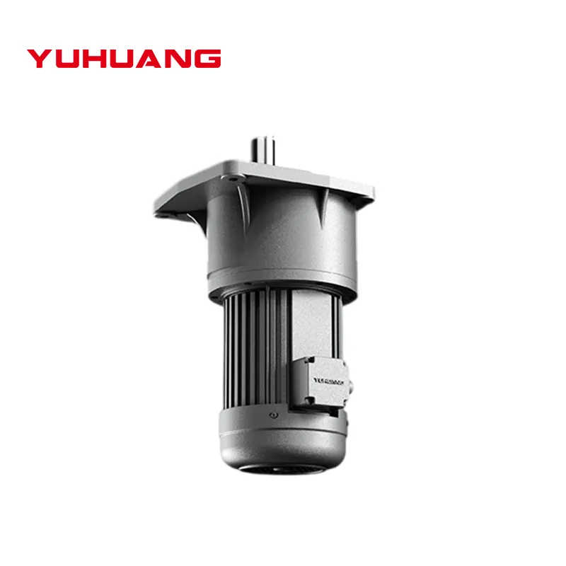 High Torque Low Noise Industrial Use Speed Reducer Gear Motor