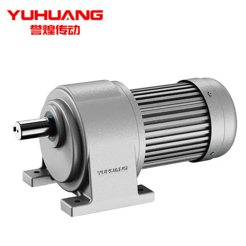 High Load High Torque Efficient Industrial Grade Speed Reducer Gear Motor