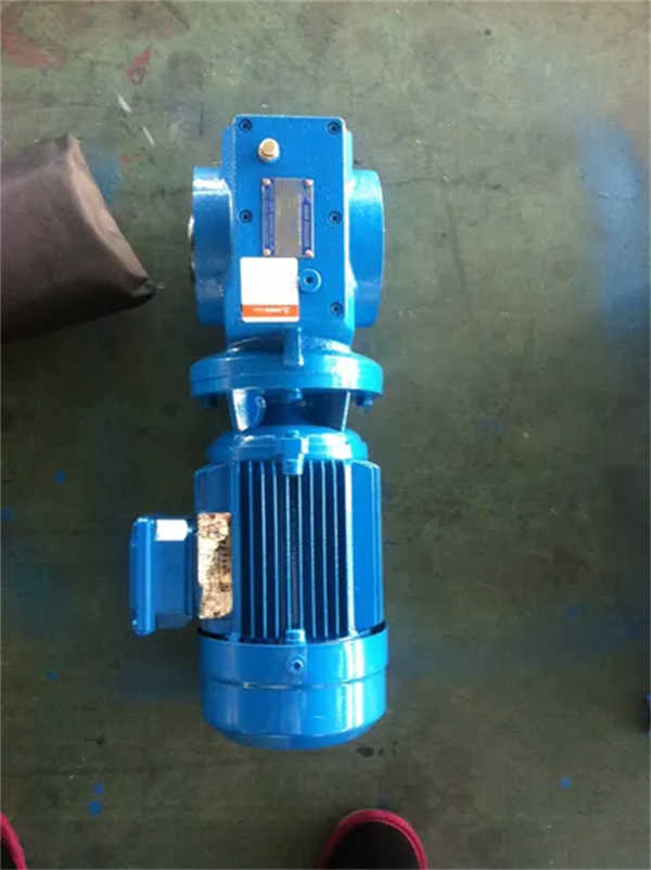 Shanghai Eastwell Gear Reducer/Helical Worm Gear Reducer Motor