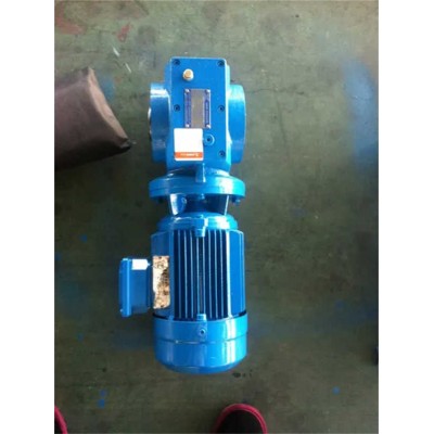 Shanghai Eastwell Gear Reducer/Helical Worm Gear Reducer Motor