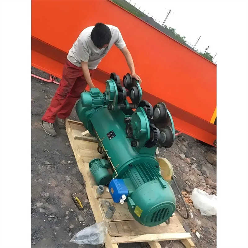 Electric Wire Rope Hoist with Remote Control, Custom Lifting Height & Speed