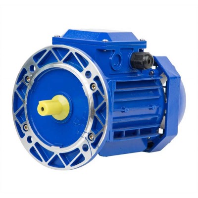 Ie2 Three Phase Induction Asynchronous Electric AC Motor