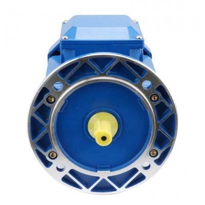 CE Approved 220-380V 50Hz 60Hz Ie2 Y2 Three Phase AC Electric Motor